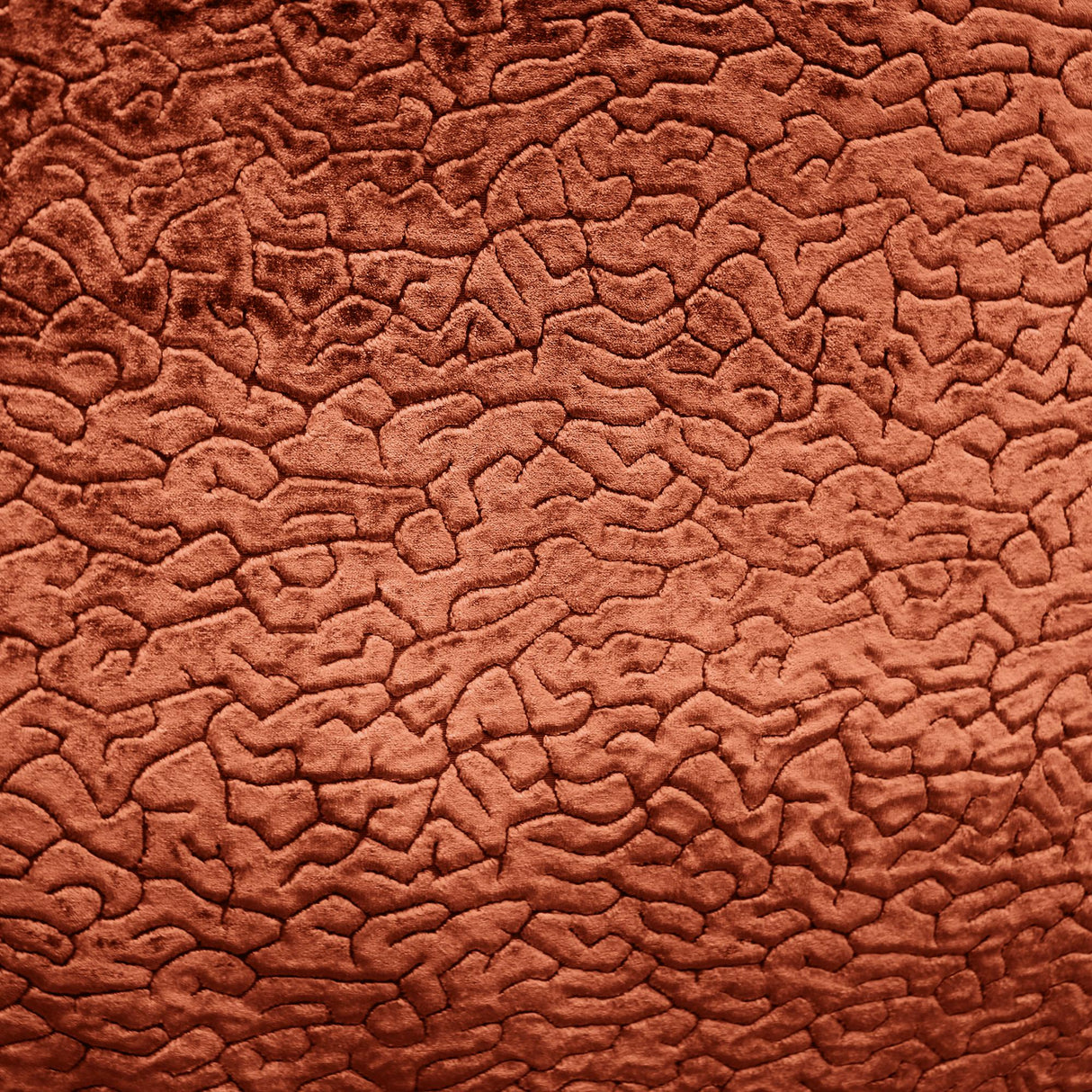 Galil Textured Velvet Fabric - Abstract Pattern, 55" Width (1 Yard)