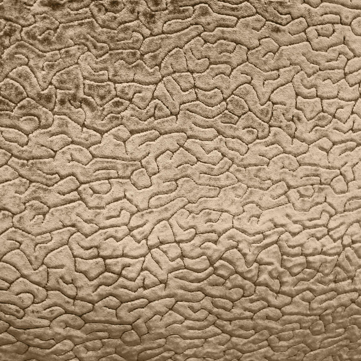Galil Textured Velvet Fabric - Abstract Pattern, 55" Width (1 Yard)