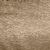 Galil Textured Velvet Fabric - Abstract Pattern, 55" Width (1 Yard)