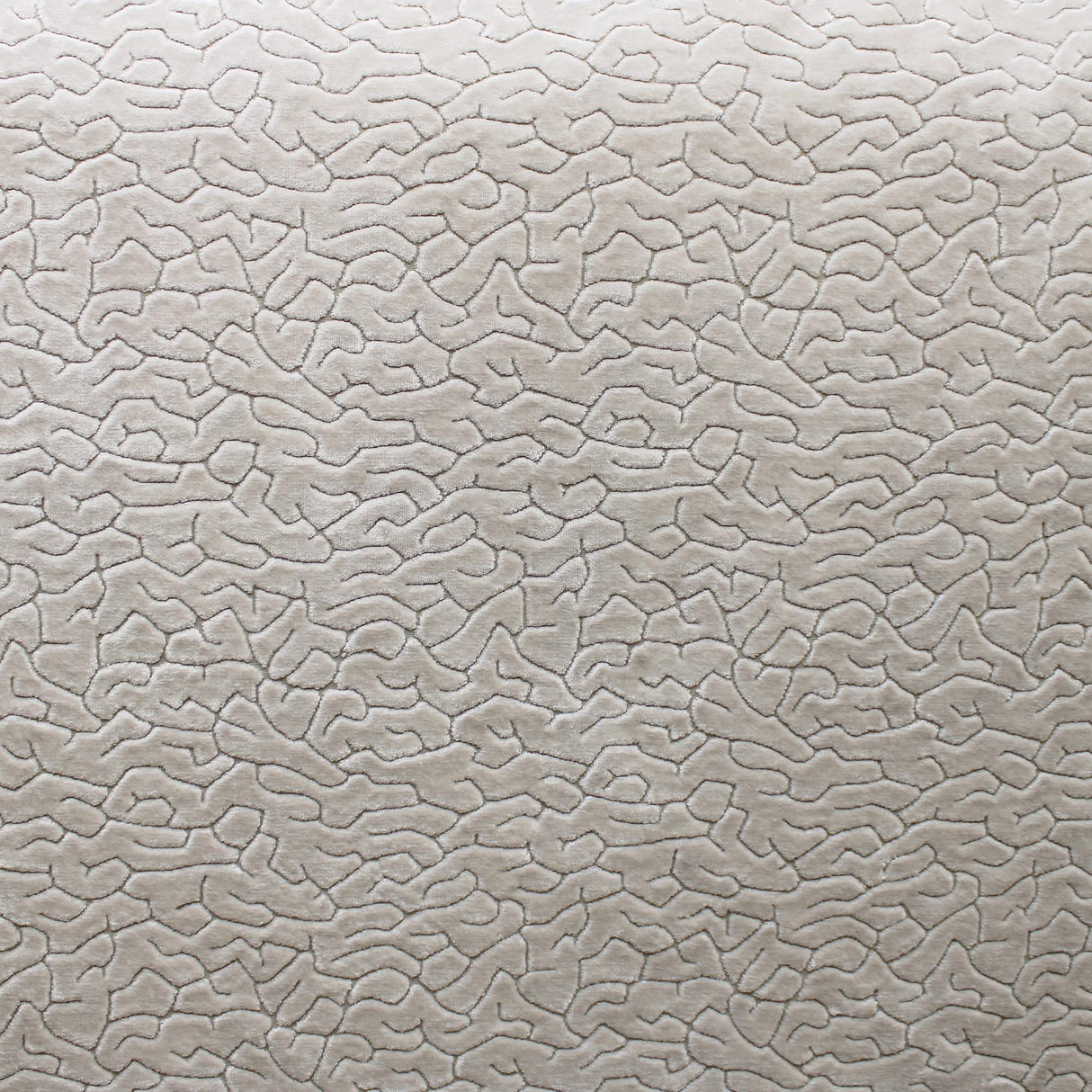 Galil Textured Velvet Fabric - Abstract Pattern, 55" Width (1 Yard)