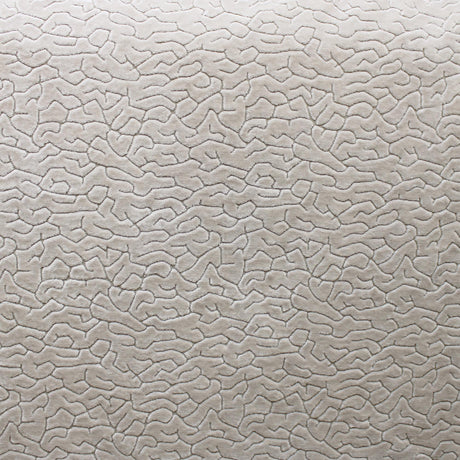 Galil Textured Velvet Fabric - Abstract Pattern, 55" Width (1 Yard)