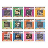 Metal Brain Teaser Puzzles (24 PC Display)