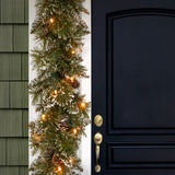 6FT Pre-Lit Glittery Bristle Pine Garland with LED Lights