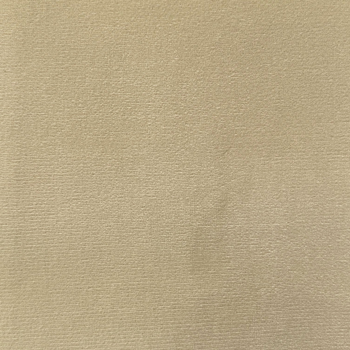 Giada Solid Velvet Fabric - Solid Indoor/Outdoor Velvet, 60" Width (1 Yard)