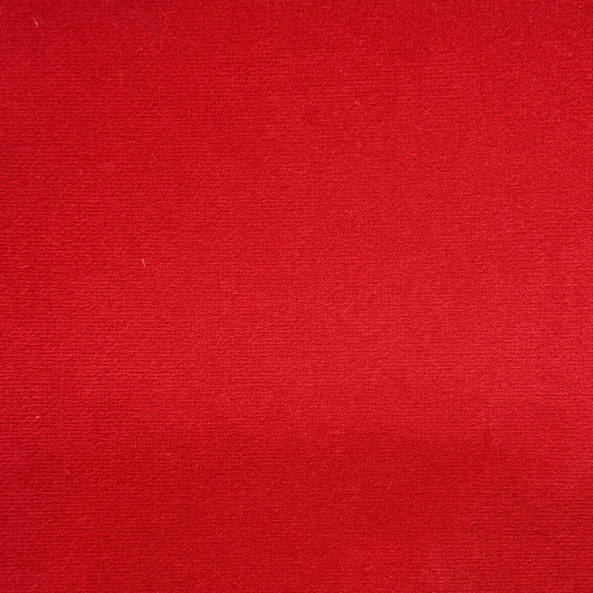 Giada Solid Velvet Fabric - Solid Indoor/Outdoor Velvet, 60" Width (1 Yard)