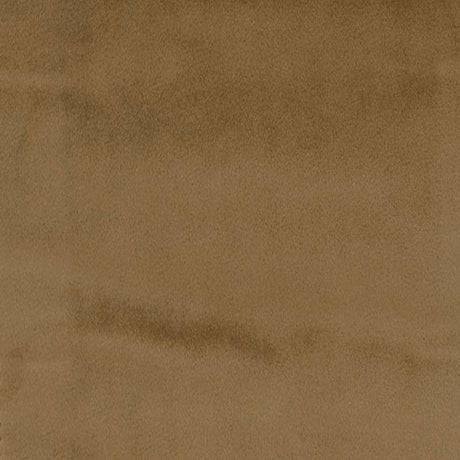 Gian Solid Shiny Velvet Polyester Fabric - Solid Shiny Velvet, 55" Width (1 Yard)