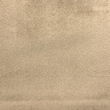 Gian Solid Shiny Velvet Polyester Fabric - Solid Shiny Velvet, 55" Width (1 Yard)
