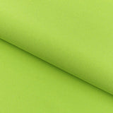 Glimmer Nylon Spandex Lurex Fabric - Black/Gold, 58" Width (1 Yard)