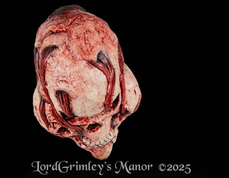 Horror Skull Heart - Latex Prop