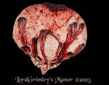 Horror Skull Heart - Latex Prop
