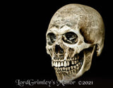Human Skull - Latex Prop