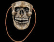 Sulking Skeleton - Tan Skin Bag - Candy Pail