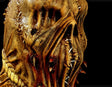 Scare the Crows - Scarecrow Mask