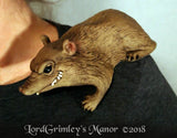 Rat Shoulder Buddy
