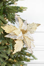 22” x 14" Sheer Glitter Poinsettia Stem - Champagne