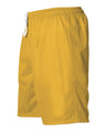 Extreme Mesh Shorts
