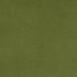 Minky Plush Fabric Green Cactus Cuddle 3 Extra Wide