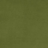 Minky Plush Fabric Green Cactus Cuddle 3 Extra Wide
