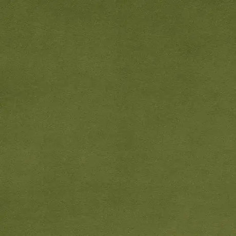 Minky Plush Fabric Green Cactus Cuddle 3 Extra Wide