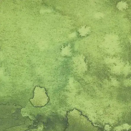 Cotton Wideback Fabric Green Fern Flow 108"