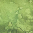 Cotton Wideback Fabric Green Fern Flow 108"