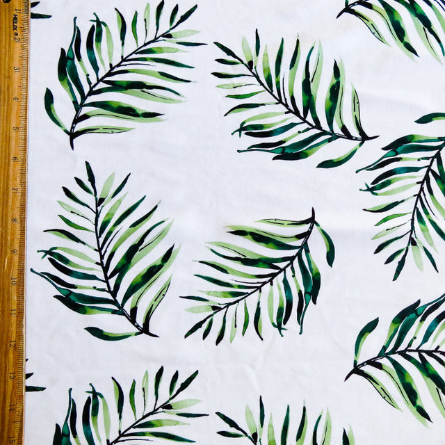 Swim Knit Nylon Spandex Green Ferns on White