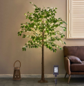 264LT Ficus Silk Tree, 72 Inch Plug-In LED Willow & Cherry Blossom Bark Texture Home Decor