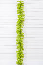 9' x 14" Lime Green Garland