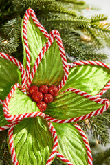 24” x 12" Green Peppermint Edge Poinsettia Stem