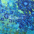 Gypsy Queen Polyester Spandex Fabric - Blue Lime Or Fuchsia Aqua, Gypsy Paisley Print, 58/60" Width (1 Yard)
