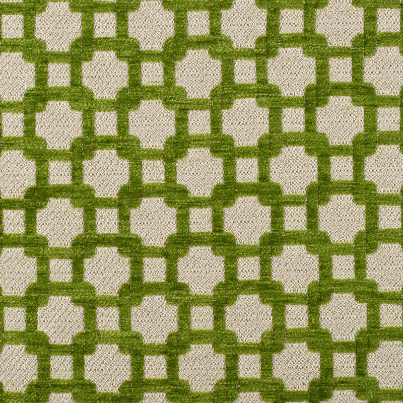 Apple Green/Metallic Cream Net Chenille with Metallic Base