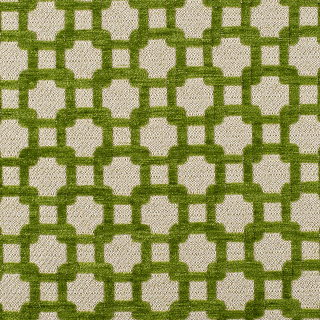 Apple Green/Metallic Cream Net Chenille with Metallic Base