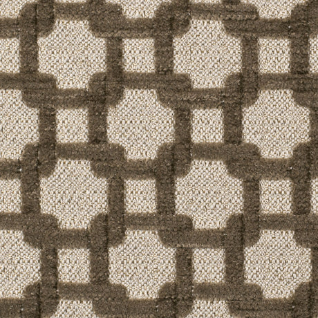 Stone/Metallic Cream Net Chenille with Metallic Base