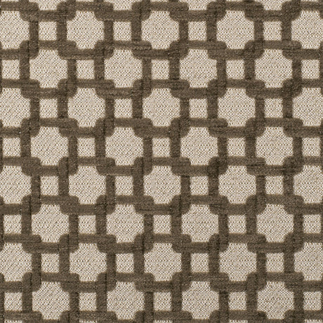 Stone/Metallic Cream Net Chenille with Metallic Base