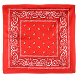 Bandana Assortment 19" (48 Pc)
