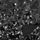 Halo Spandex Sequin Poly Spandex Fabric - Embroidered Sequin, 52" Width, 4-Way Stretch (1 Yard)