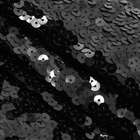 Spandex Sequin Fabric