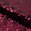 Spandex Sequin Fabric