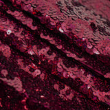 Spandex Sequin Fabric