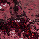 Halo Spandex Sequin Poly Spandex Fabric - Embroidered Sequin, 52" Width, 4-Way Stretch (1 Yard)