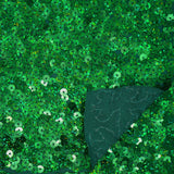Spandex Sequin Fabric