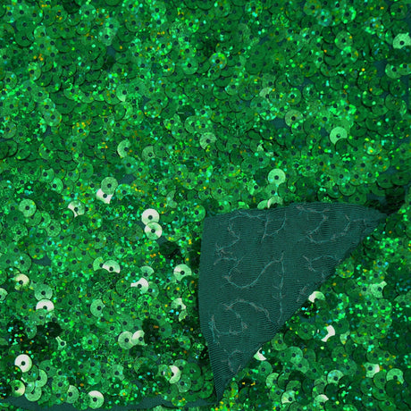 Spandex Sequin Fabric