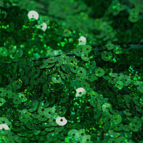 Spandex Sequin Fabric
