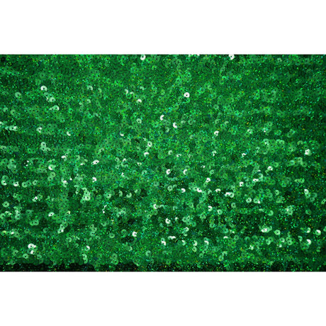 Spandex Sequin Fabric