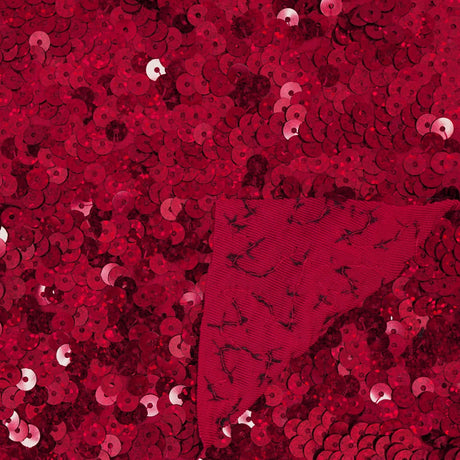 Spandex Sequin Fabric