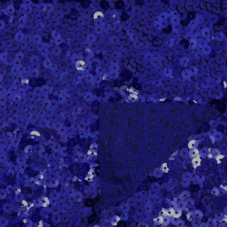 Spandex Sequin Fabric