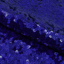 Halo Spandex Sequin Poly Spandex Fabric - Embroidered Sequin, 48" Width, 4-Way Stretch (1 Yard)