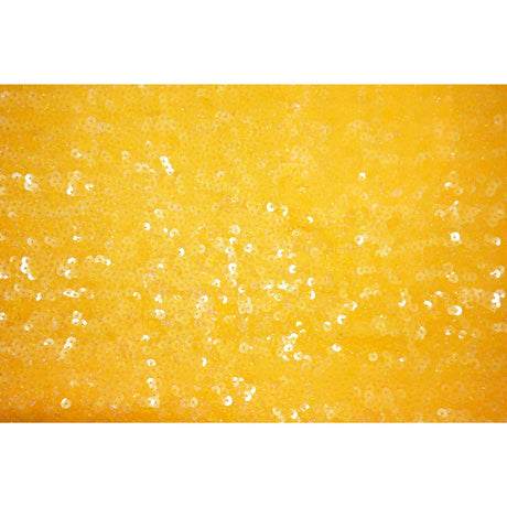 Spandex Sequin Fabric