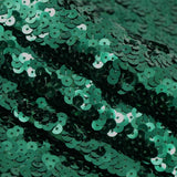 Spandex Sequin Fabric