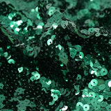 Spandex Sequin Fabric